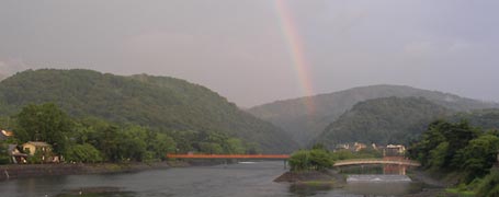 �F����ɉ˂����