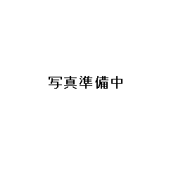 Si