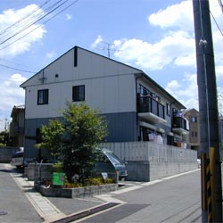 Si