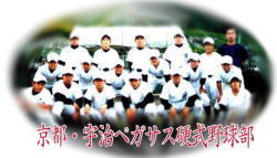 ���s�E�F���y�K�T�X�d���싅��