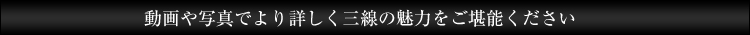 動画や写真でより詳しく三線の魅力をご堪能ください