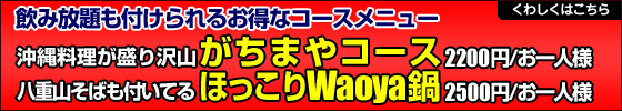 Waoya�I���W�i���R�[�X���j���[
